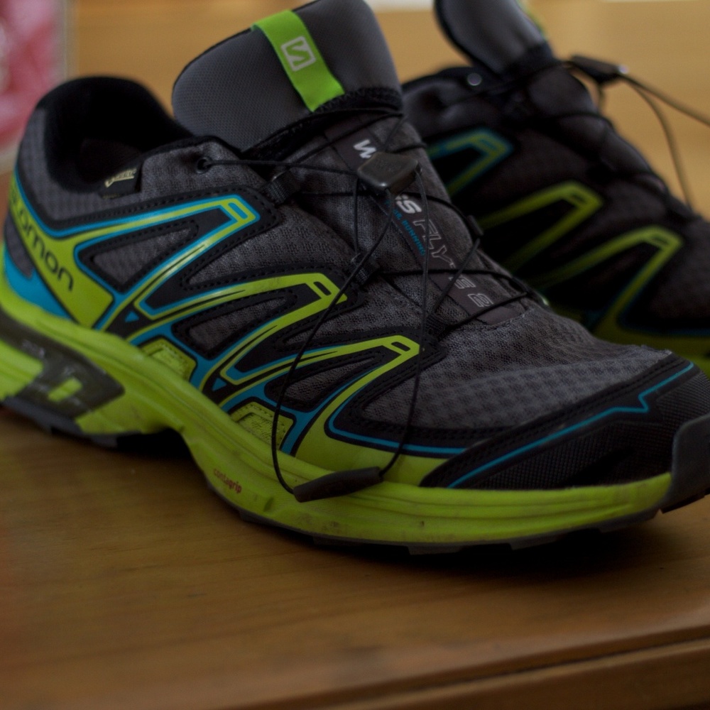 salomon wing flyte 2 GORE TEX